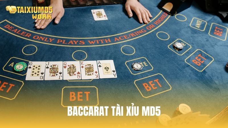 Baccarat Tài Xỉu MD5: Đỉnh cao game bài hiện đại & minh bạch