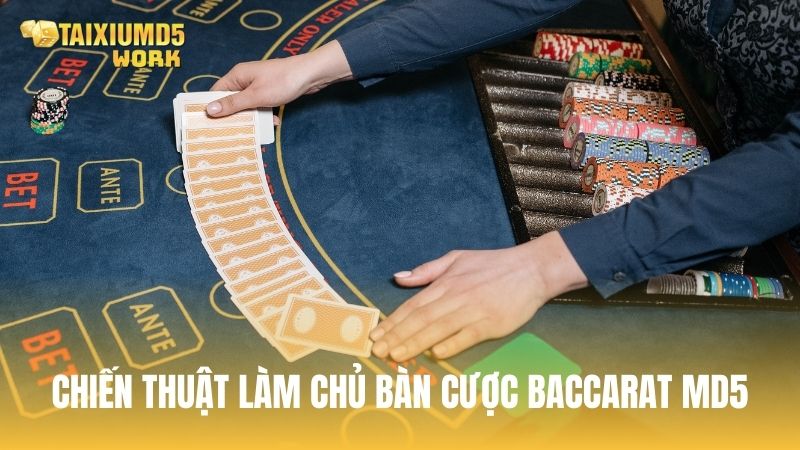 Chiến thuật làm chủ bàn cược Baccarat MD5