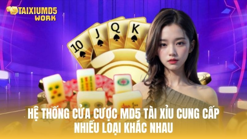 Hệ thống cửa cược MD5 Tài Xỉu cung cấp nhiều loại phong phú