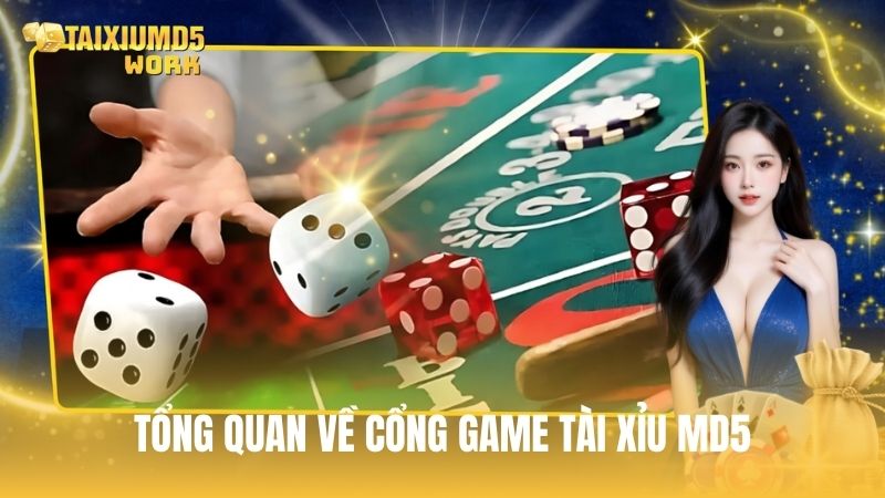 Đôi nét tổng quan về cổng game Tài Xỉu MD5